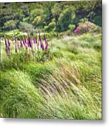 The Irish Wind Metal Print