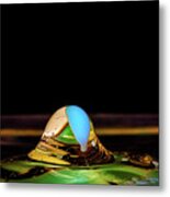 The Jewel Metal Print