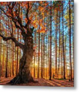The King Of The Trees Metal Print
