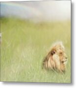 The Lion, The Lamb, And Rainbow Metal Print