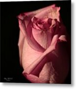 The Loveliness Of A Rose Metal Print