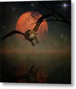 The Owl Goes Hunting In The Night Metal Print