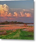 The Path Home - Series - Stensby Farm Homestead In Benson County Nd Metal Print