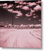 The Road, Infrared Photography Metal Print