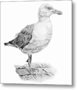 The Seagull Strut Metal Print