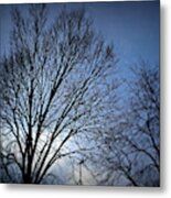 The Silent Signs Of Change Metal Print