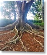The Strength Of Our Roots Metal Print