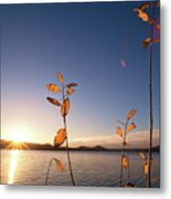 The Sun Is Rising Over A Lake In Fall - Wide Angle Metal Print