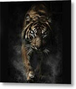 The Tiger Metal Print