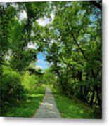 The Usual Trail Metal Print