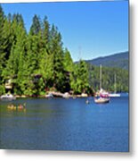 The Village On The Slope Of  Deep Cove Metal Print