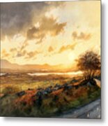 The Wilds Of Donegal Metal Print