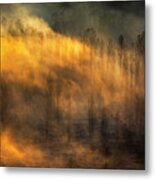 Thin Forest Metal Print