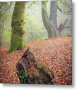 This Autumn Goes All The Way To 11 Metal Print