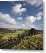 This Green & Pleasant Land. South Wight Landscape Metal Print