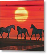 Three Horses Walk Towards Each Other On The Beach Metal Print