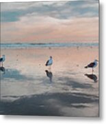 Three Seagulls On The Beach Metal Print
