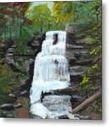 Tiffany Falls Metal Print