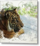 Tiger Portrait With Textures Metal Print