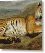 Tiger Resting Metal Print