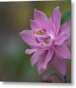 Tiny Blossom Close-up Metal Print