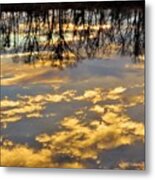 Topsy-turvy Reflection At The Water's Edge Metal Print