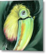 Toucan Colorful Exotic Bird Metal Print