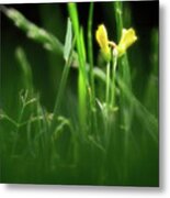 Touch Of Yellow Metal Print