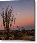 Touching The Moon Metal Print