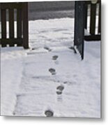Traces In The Snow Metal Print