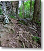 Trail At Ozone Falls 3 Metal Print