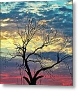 Tree And Sunset Metal Print