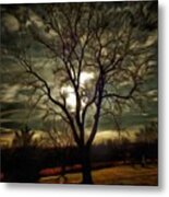 Tree At Sunset Metal Print