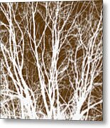 Tree Branches Metal Print