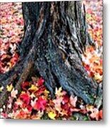 Tree Confetti In Autumn Metal Print