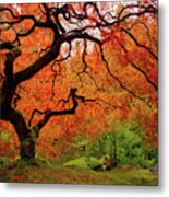 Tree Fire - New And Improved Metal Print