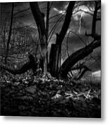 Tree Of Nowadays In Black And White Metal Print