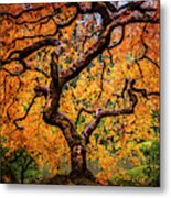 Tree On Fire Metal Print