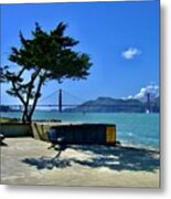 Tree With A View Metal Print