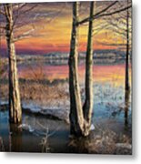 Trees In The Early Spring Flooding On The Neosho River Bank In O Metal Print
