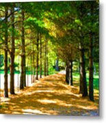 Trees Tunnel, Country Road Metal Print