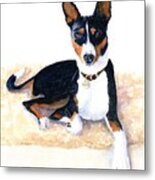 Tri-color Basenji Metal Print