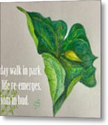 Trillium In Bud Metal Print