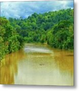 Tropical River Landscape Metal Print