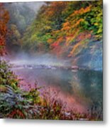 Trout Stream In The Catskill Mountains In New York Metal Print