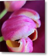 Tulips And Tablecloths Metal Print