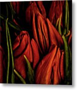Tulips Fire , Impressive Close Up Bouquet Metal Print