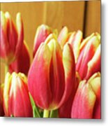 Tulips Metal Print