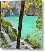 Turquoise Beauty In The Woods Metal Print