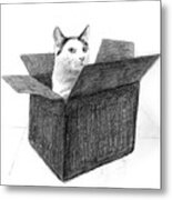 Tuxedo Cat In A Box Metal Print